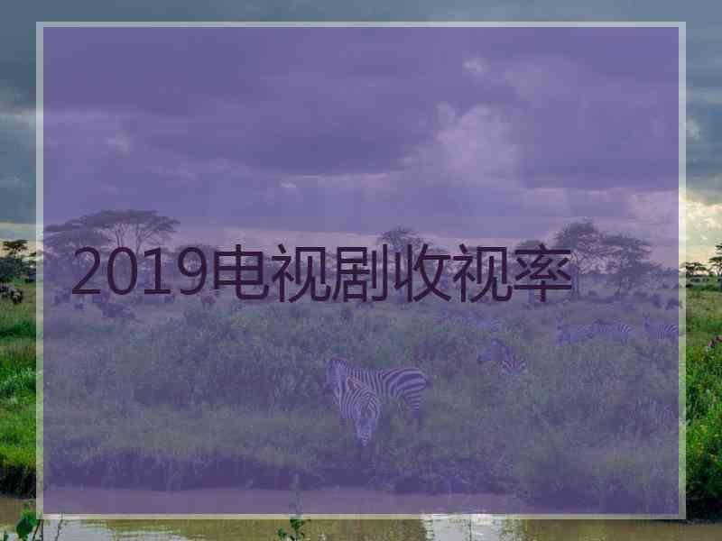 2019电视剧收视率