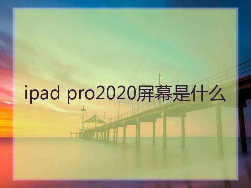 ipad pro2020屏幕是什么