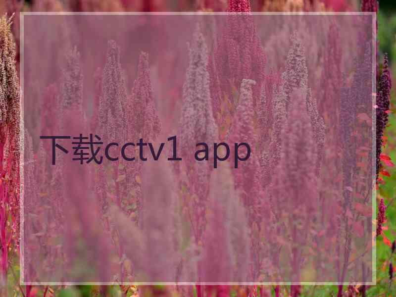 下载cctv1 app