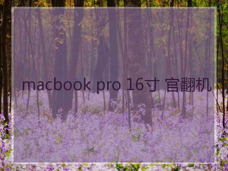 macbook pro 16寸 官翻机