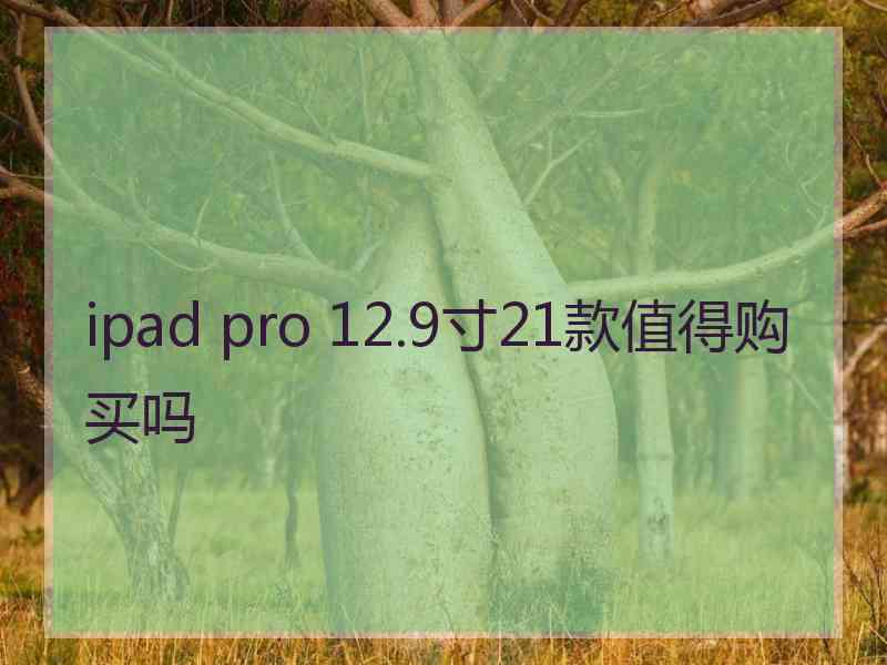 ipad pro 12.9寸21款值得购买吗