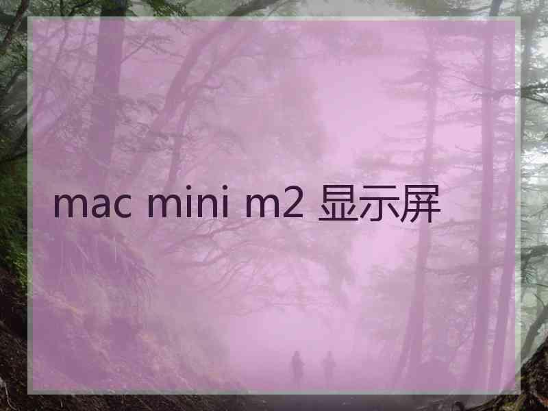 mac mini m2 显示屏