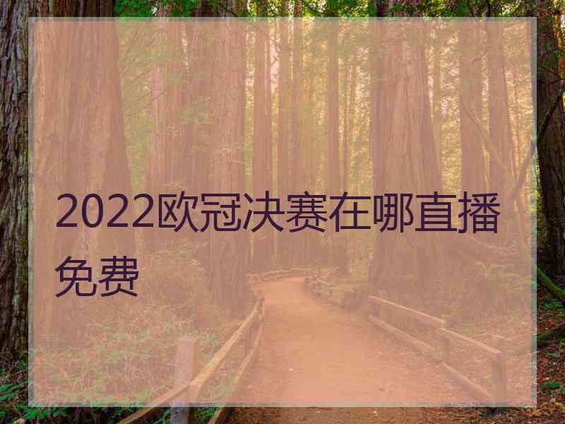 2022欧冠决赛在哪直播免费