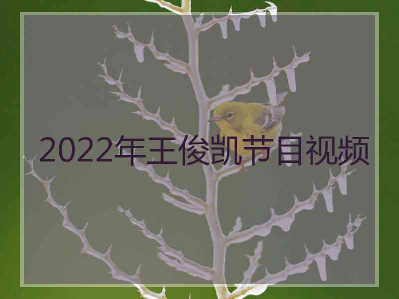 2022年王俊凯节目视频