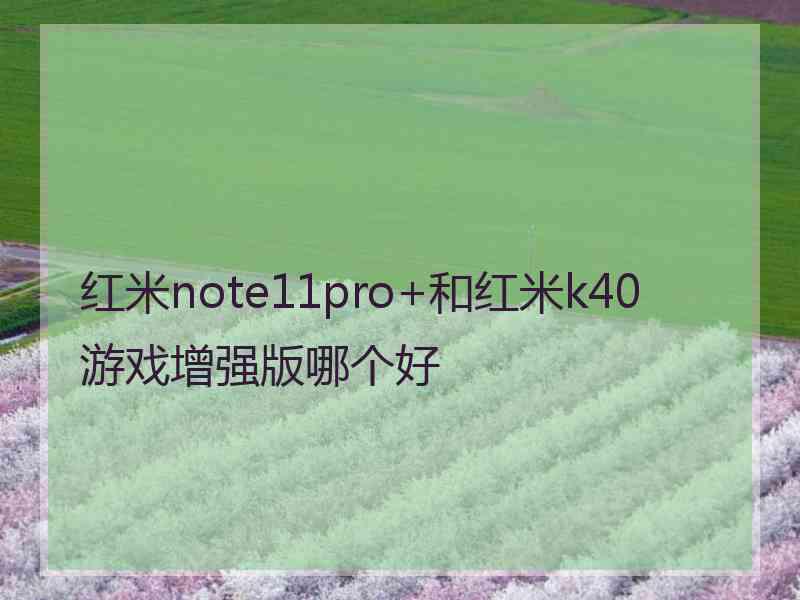 红米note11pro+和红米k40游戏增强版哪个好