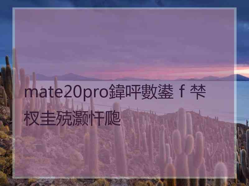 mate20pro鍏呯數鍙ｆ梺杈圭殑灏忓瓟