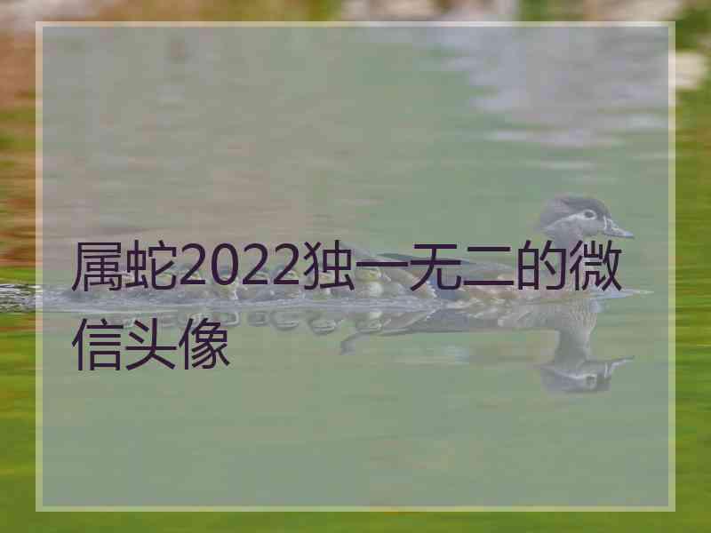 属蛇2022独一无二的微信头像