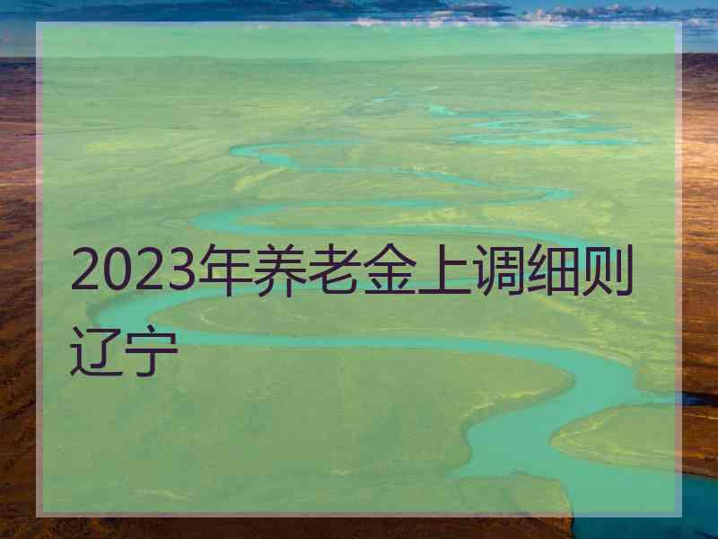 2023年养老金上调细则辽宁