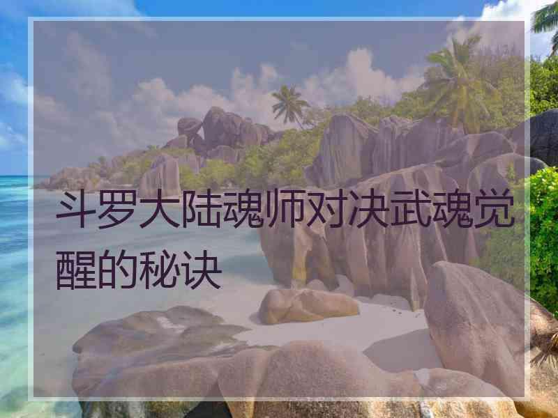 斗罗大陆魂师对决武魂觉醒的秘诀