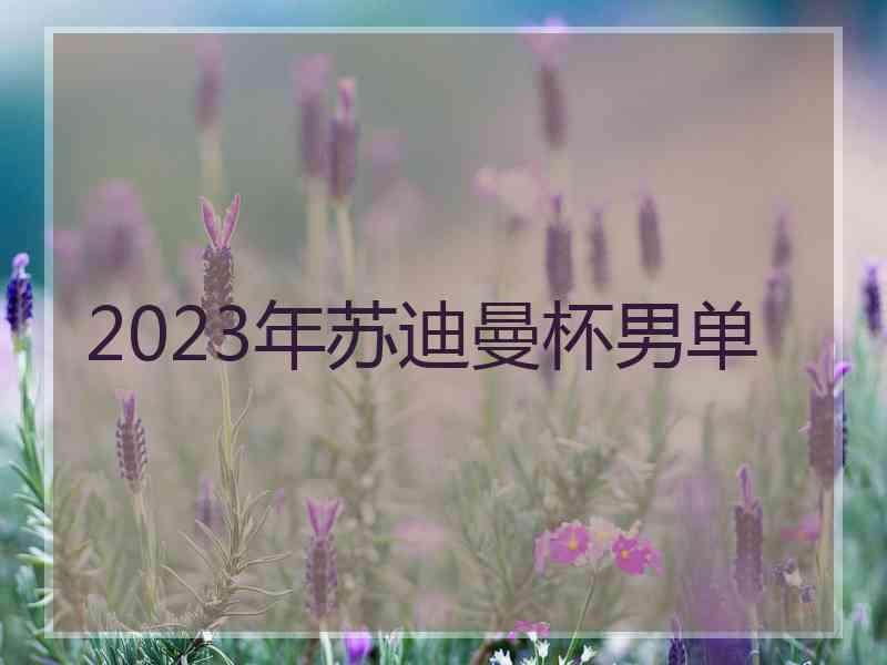 2023年苏迪曼杯男单