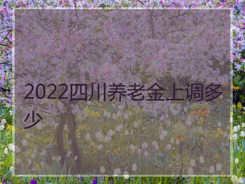 2022四川养老金上调多少