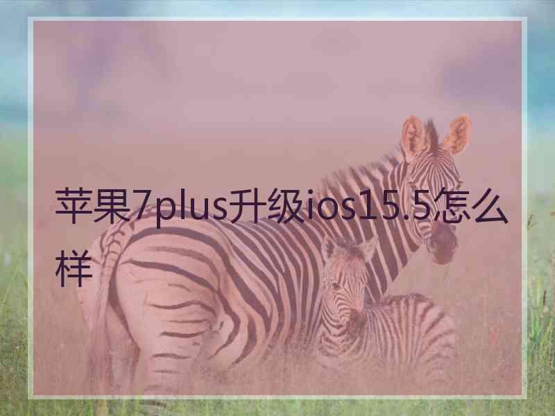 苹果7plus升级ios15.5怎么样