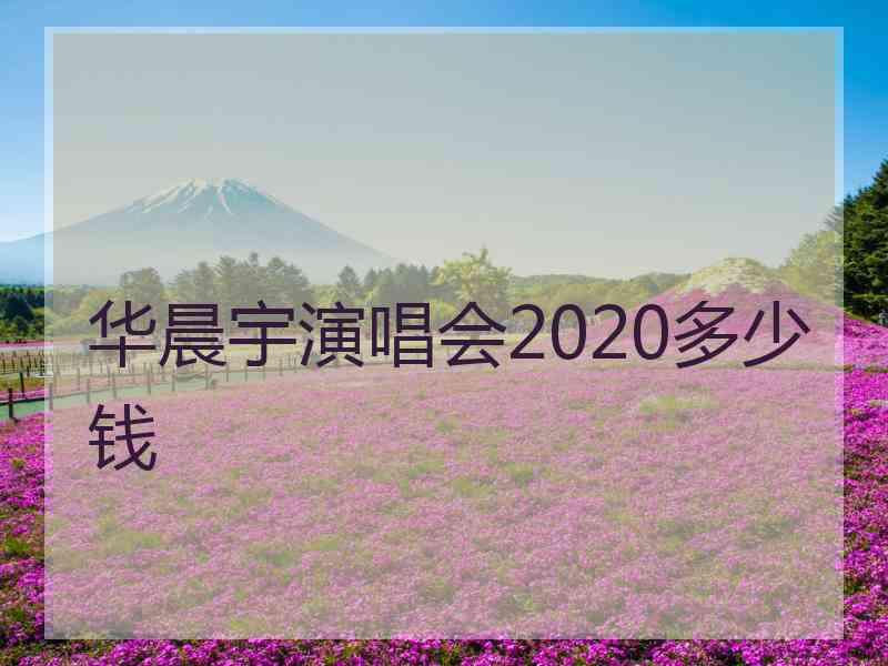 华晨宇演唱会2020多少钱