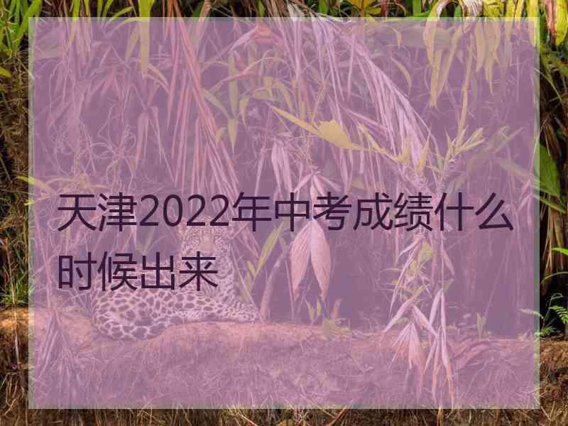 天津2022年中考成绩什么时候出来