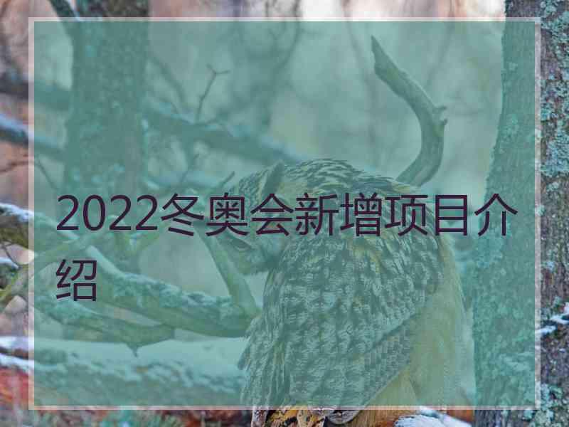 2022冬奥会新增项目介绍