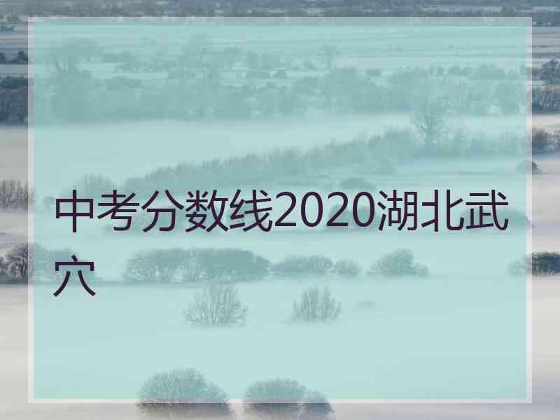 中考分数线2020湖北武穴