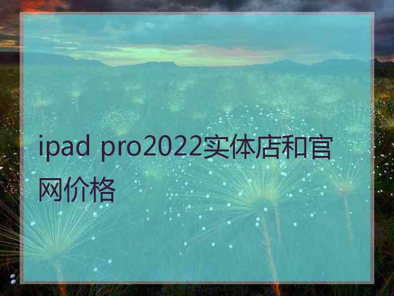 ipad pro2022实体店和官网价格