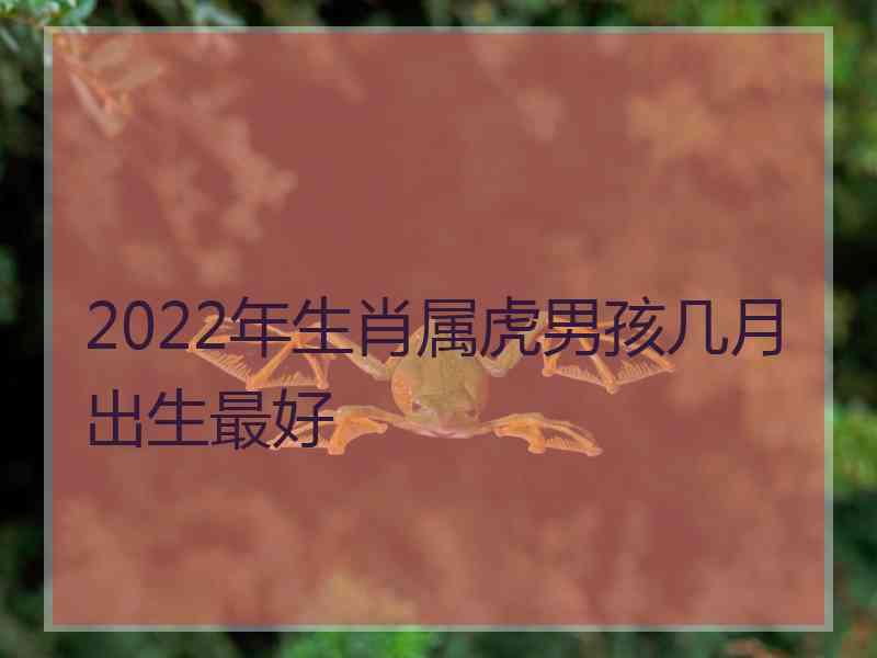 2022年生肖属虎男孩几月出生最好