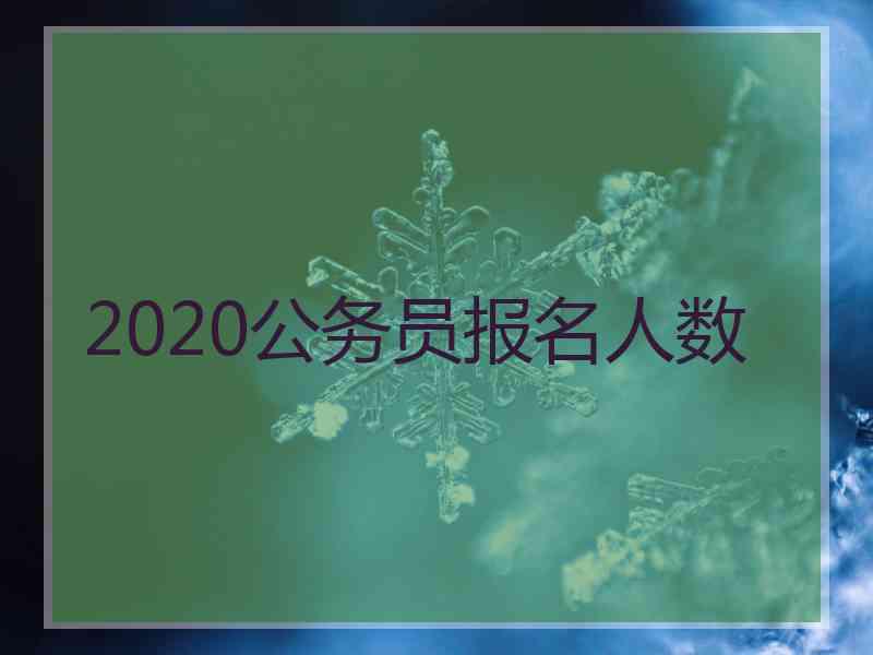 2020公务员报名人数