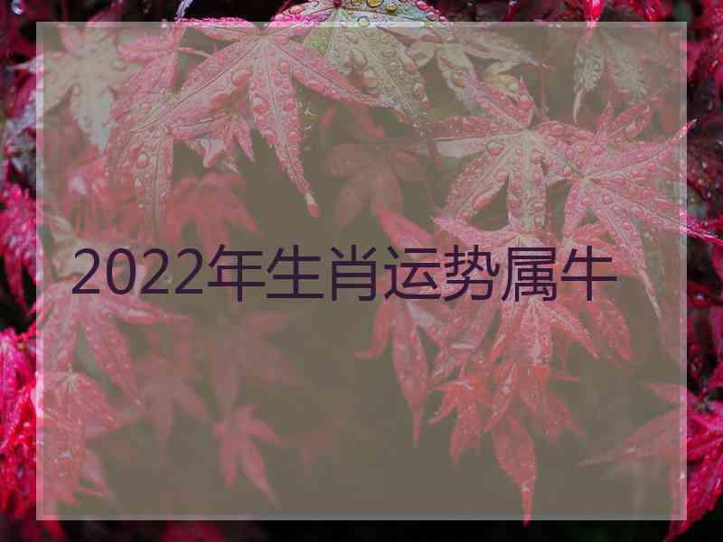 2022年生肖运势属牛