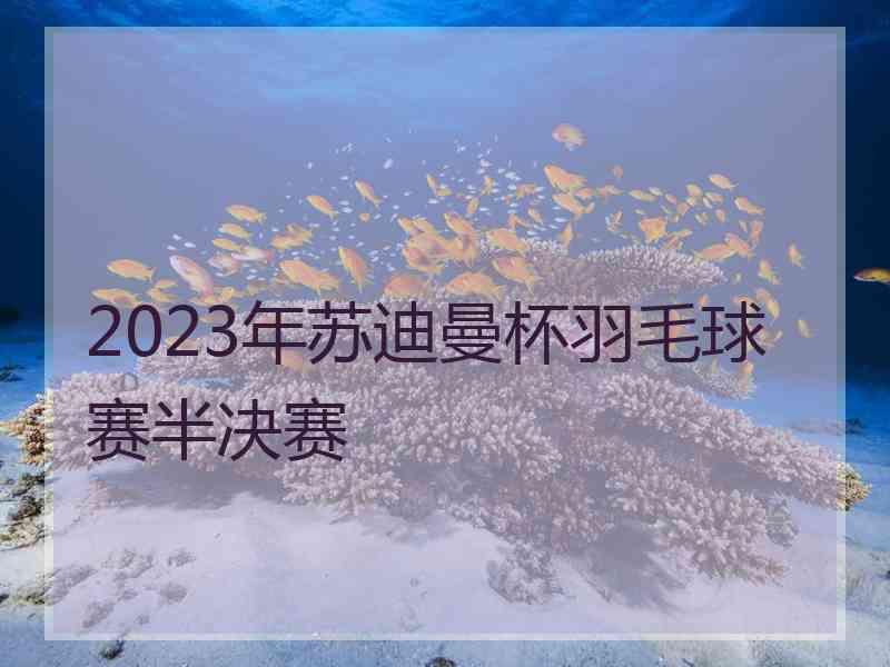 2023年苏迪曼杯羽毛球赛半决赛