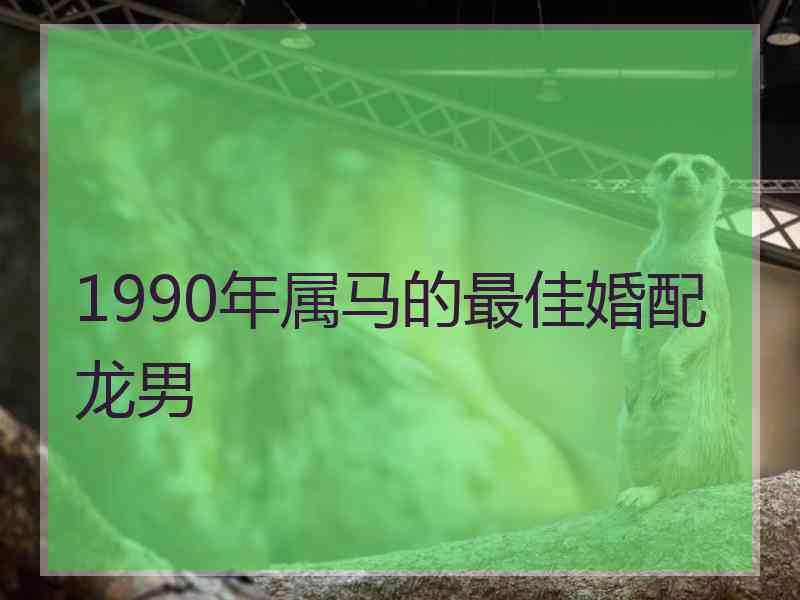 1990年属马的最佳婚配龙男