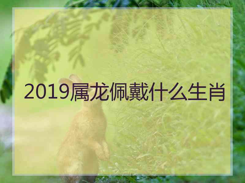 2019属龙佩戴什么生肖