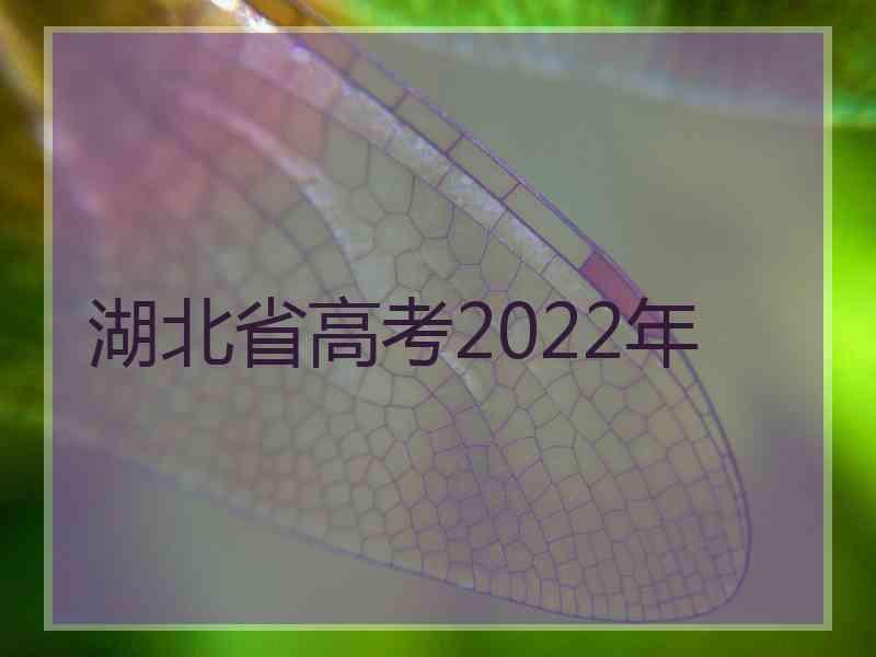 湖北省高考2022年