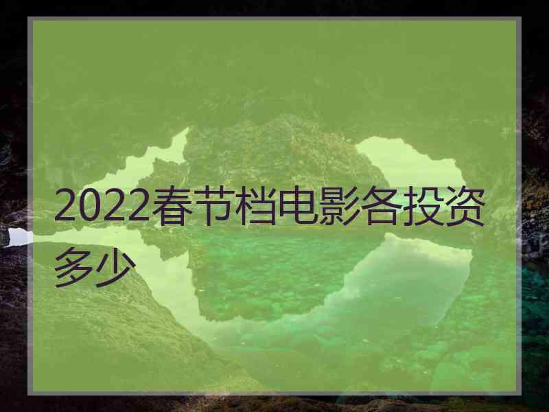 2022春节档电影各投资多少