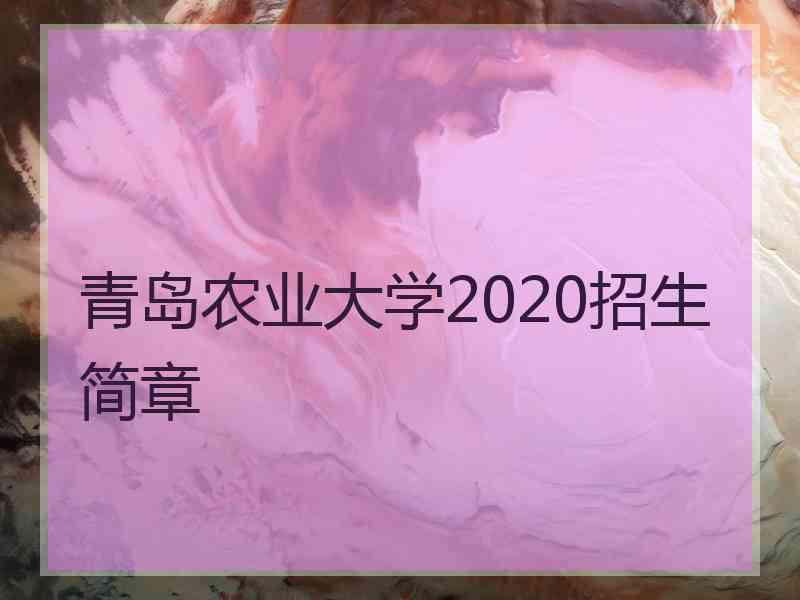 青岛农业大学2020招生简章