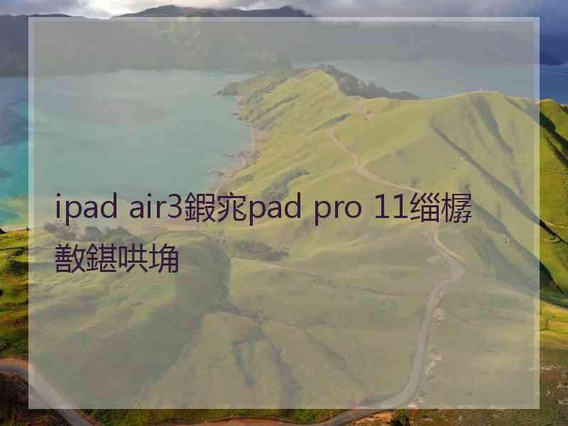 ipad air3鍜宨pad pro 11缁樼敾鍖哄埆