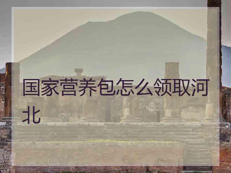 国家营养包怎么领取河北