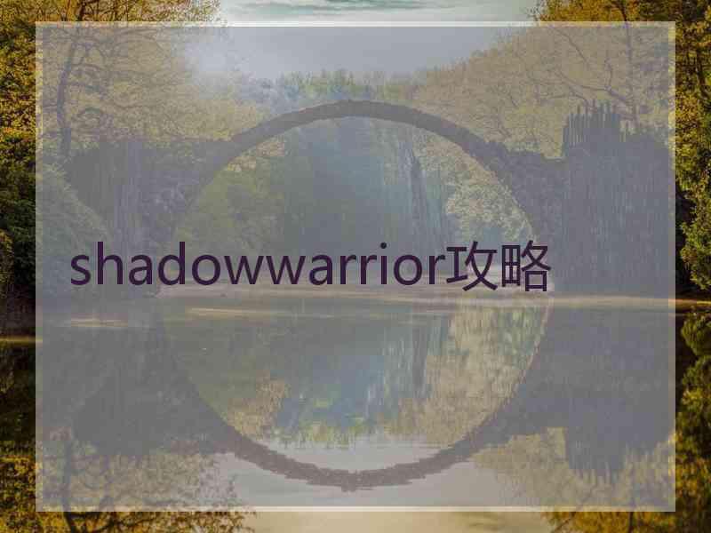 shadowwarrior攻略