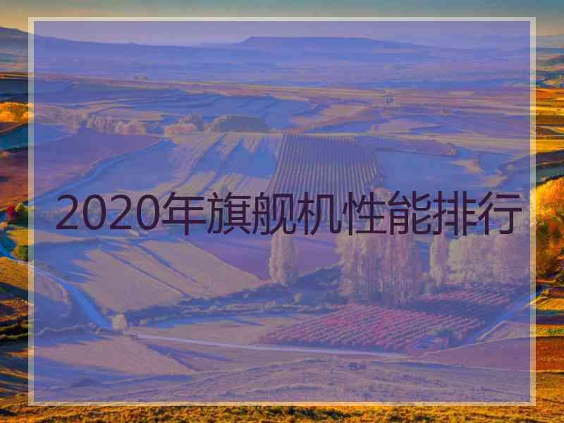 2020年旗舰机性能排行