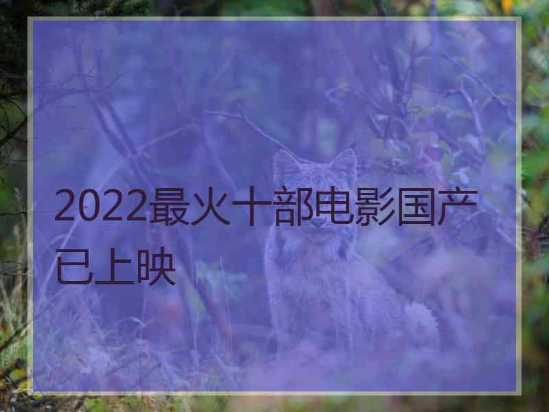 2022最火十部电影国产已上映