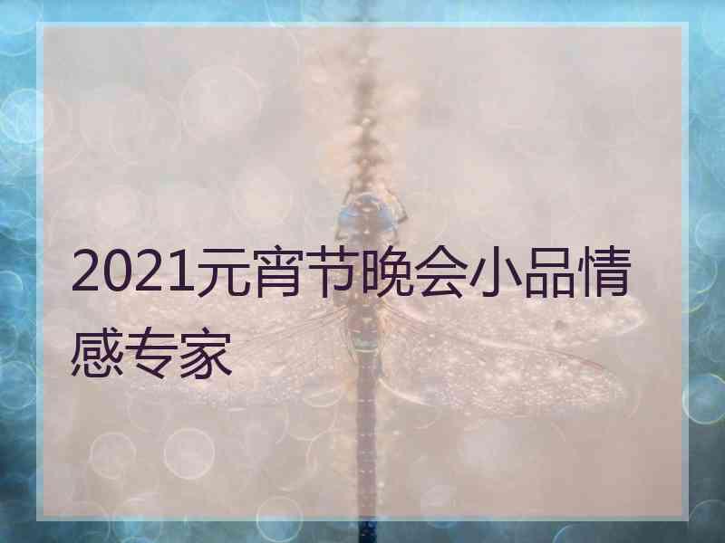 2021元宵节晚会小品情感专家