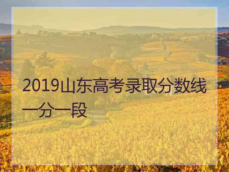 2019山东高考录取分数线一分一段