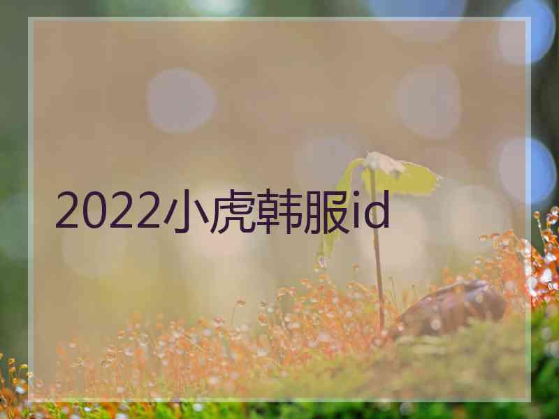 2022小虎韩服id