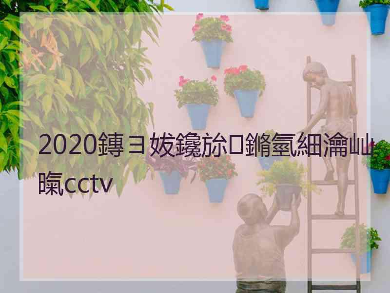 2020鏄ヨ妭鑱旀鏅氫細瀹屾暣cctv