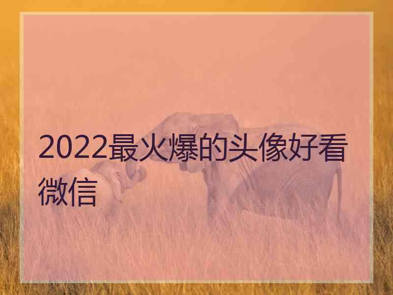 2022最火爆的头像好看微信