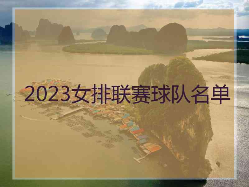 2023女排联赛球队名单