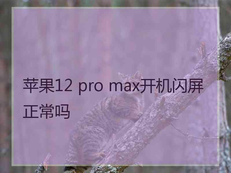 苹果12 pro max开机闪屏正常吗