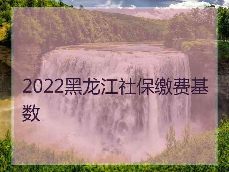 2022黑龙江社保缴费基数