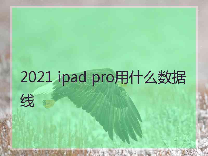 2021 ipad pro用什么数据线