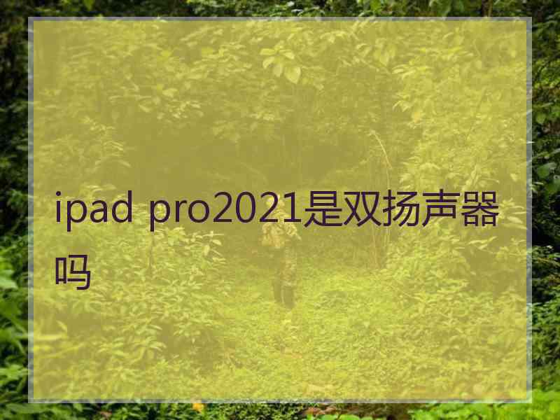 ipad pro2021是双扬声器吗