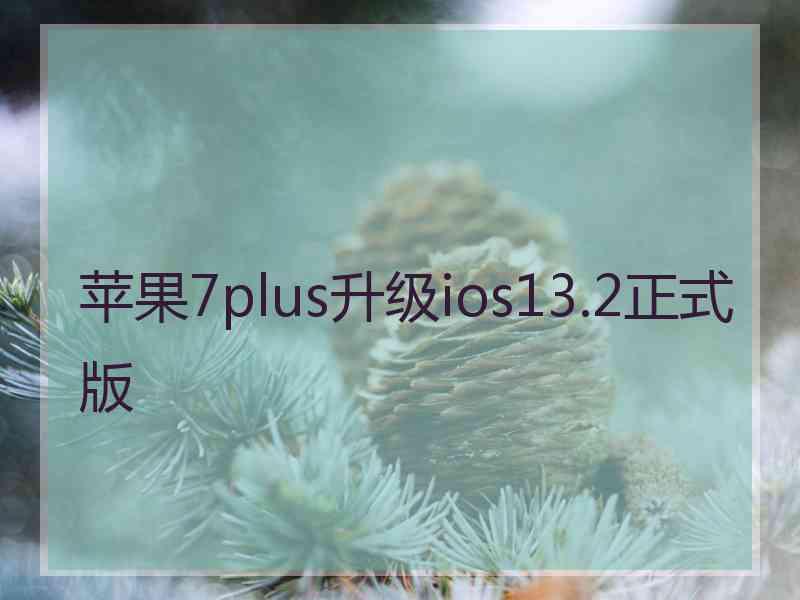 苹果7plus升级ios13.2正式版