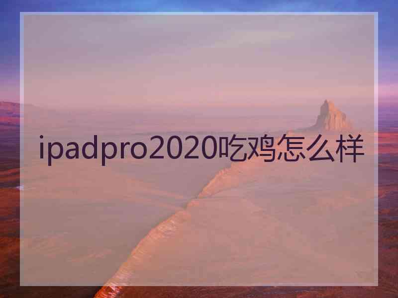 ipadpro2020吃鸡怎么样