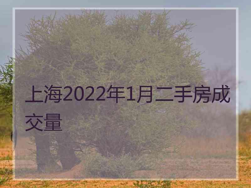 上海2022年1月二手房成交量