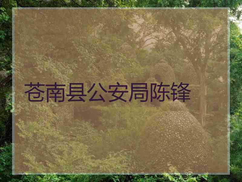 苍南县公安局陈锋