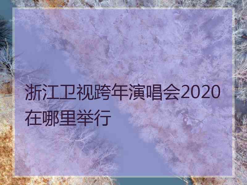 浙江卫视跨年演唱会2020在哪里举行